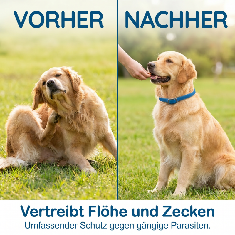 🎁 1+1 GRATIS🛡️Halsband mit natürlichen ätherischen Ölen zur Abwehr von Schädlingen bei Haustieren