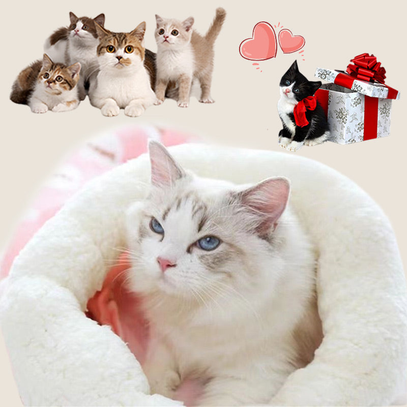 🎉💖Über 66.000 verkauft!🐱🎁Flauschige Katzenhöhle mit Cartoon-Muster – Halbgeschlossen, warm & perfekt für den Winter😴