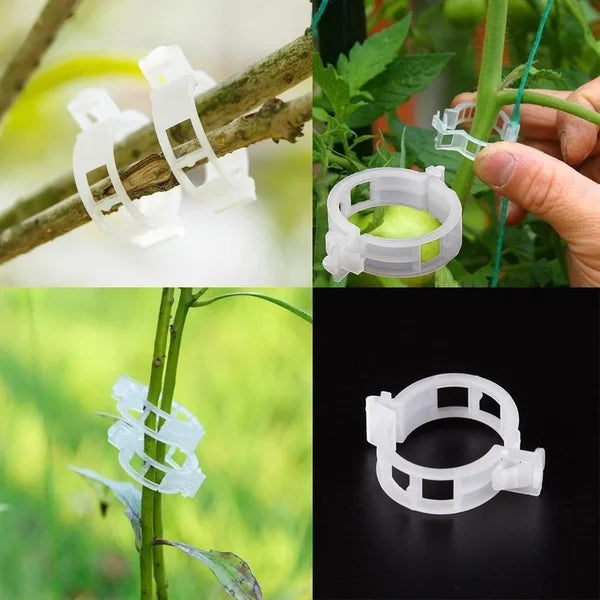 🗜️Clips für Kletterpflanzen – Tomatenbinder und Pflanzenbefestigungen aus Kunststoff 🌱🍅