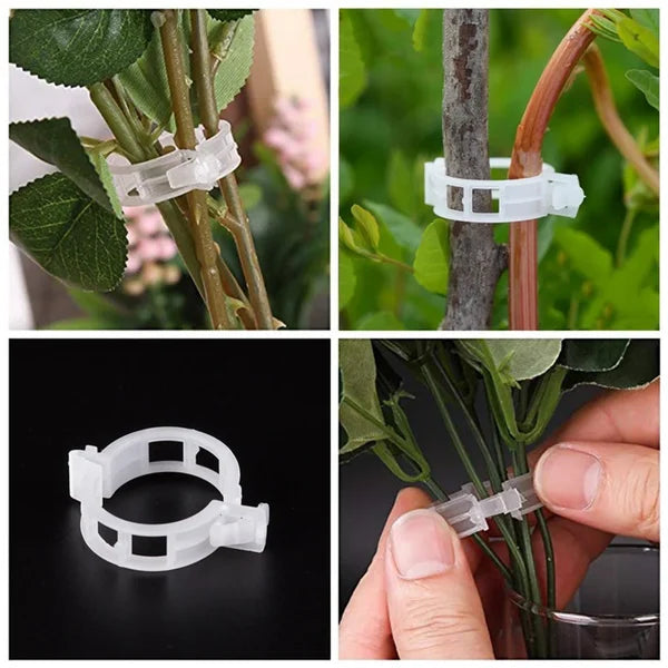 🗜️Clips für Kletterpflanzen – Tomatenbinder und Pflanzenbefestigungen aus Kunststoff 🌱🍅