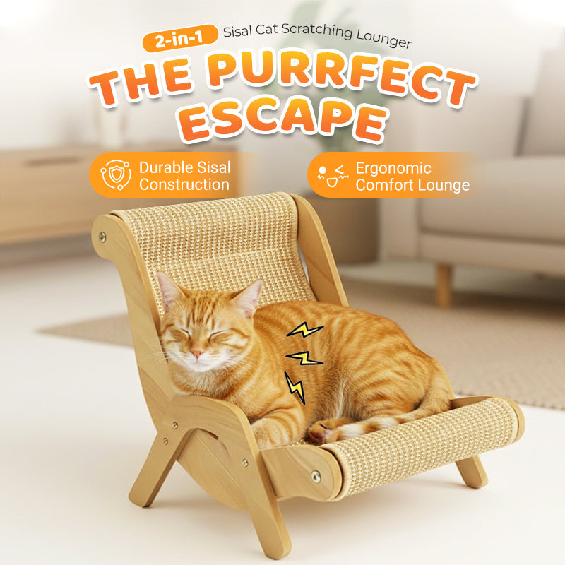 💎 50% RABATT! 💎 2-in-1-Kratzbaum aus Sisal – Neuheit 2026, Platzsparend & Stabil für Katzen 🐾🛋️