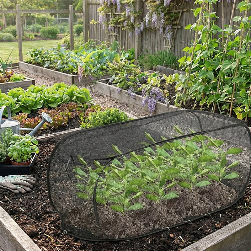 🌱 50% RABATT! ✨ 3-in-1 Pop-Up Pflanzenschutz-Netz – Schützt Vor Insekten, Frost & Sonne, Sofort Aufbaubar & Perfekt Für Garten & Balkon 🌿