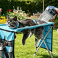 🥳HEISSER SALE 2026🥳💞50.000+ VERKAUFT!👵❤️ 2-in-1 Faltbares Haustier-Pflegebett🐱🐶🛋️