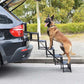 🐕 50% RABATT! 🚗 Tragbare faltbare Hunde-Autotreppe – Rutschfest, robust & kompakt – Perfekt für kleine & ältere Hunde unterwegs ✨