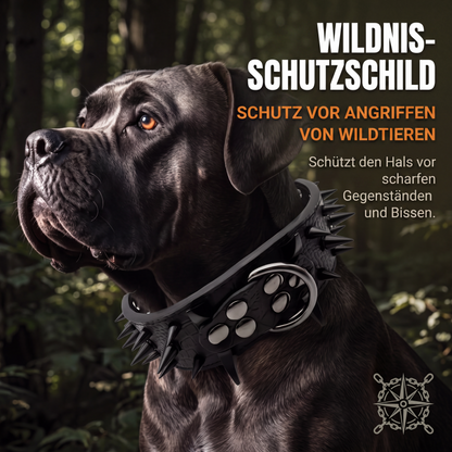 Stachelbesetztes Hundehalsband aus PU-Leder