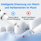 Tragbares Ultraschall-Zahnreinigungs- und Zahnsteinentfernungs-Set