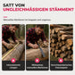 Kettensägen-Anriss- und Ausrichtungswerkzeug für Holzschnitt